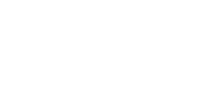 TAAM